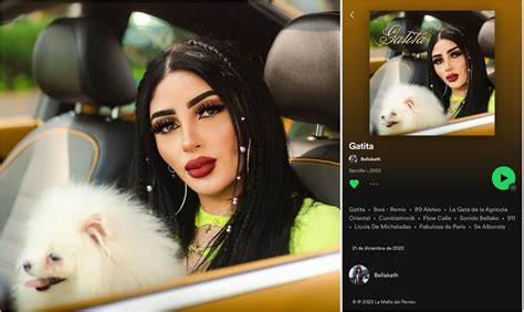 Sale A Bellaquear Gatita De Bellakath Regresa A Spotify BM Noticias