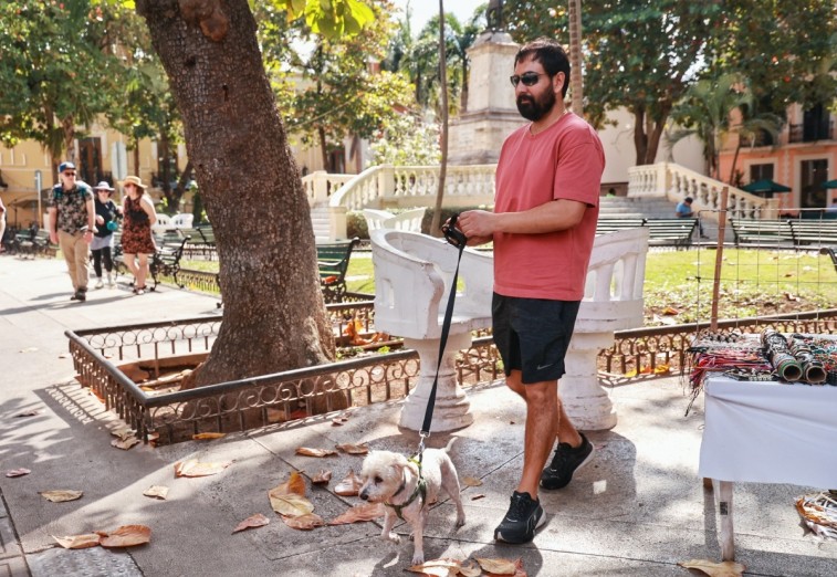 ALTAS TEMPERATURAS REPRESENTAN UN RIESGO PARA LAS MASCOTAS EN TEMPORADA DE CALOR