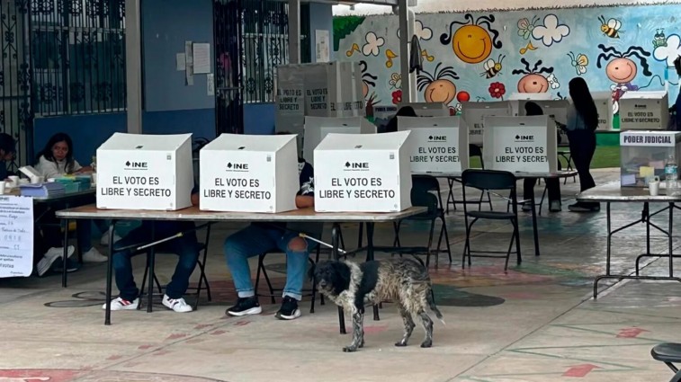 CANACINTRA YUCATÁN PONE EN DUDA LA LEGALIDAD Y TRANSPARENCIA DE LAS ELECCIONES JUDICIALES 2025