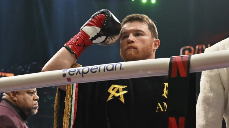 CANELO ÁLVAREZ ROMPE EL SILENCIO TRAS SU DERROTA ANTE TERENCE CRAWFORD