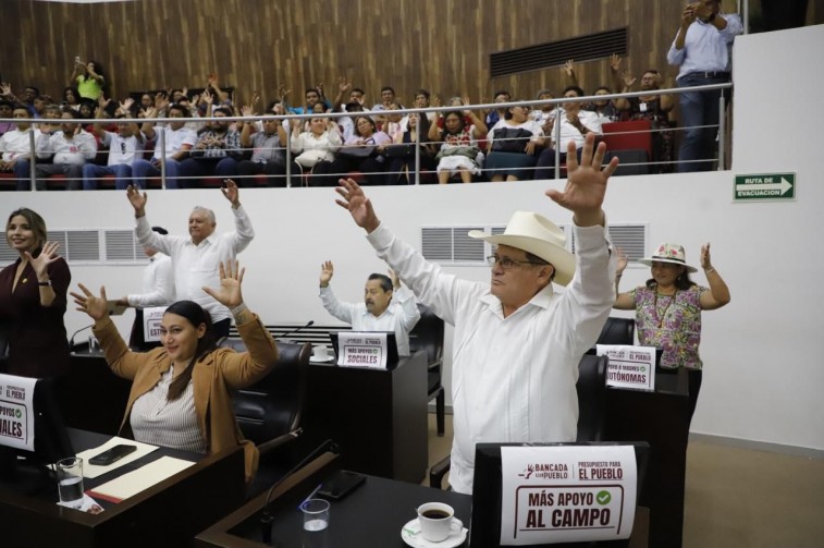 Congreso de Yucatán aprueba Ley de Autismo impulsada por Morena