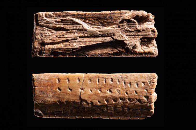 Descubren que signos tallados hace 40 mil años tenían complejidad similar a la primera escritura