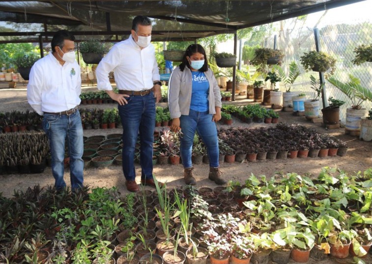 El alcalde Alejandro Ruz Castro visita el vivero municipal y destaca el trabajo que realizan las mujeres en ese lugar
