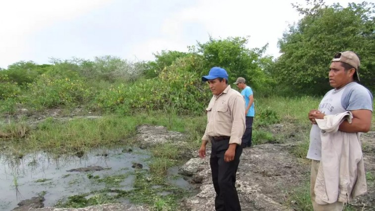 ENVENENAN TIERRA Y CUERPOS EN YUCATÁN: PLAGUICIDAS COBRAN FACTURA AMBIENTAL Y HUMANA