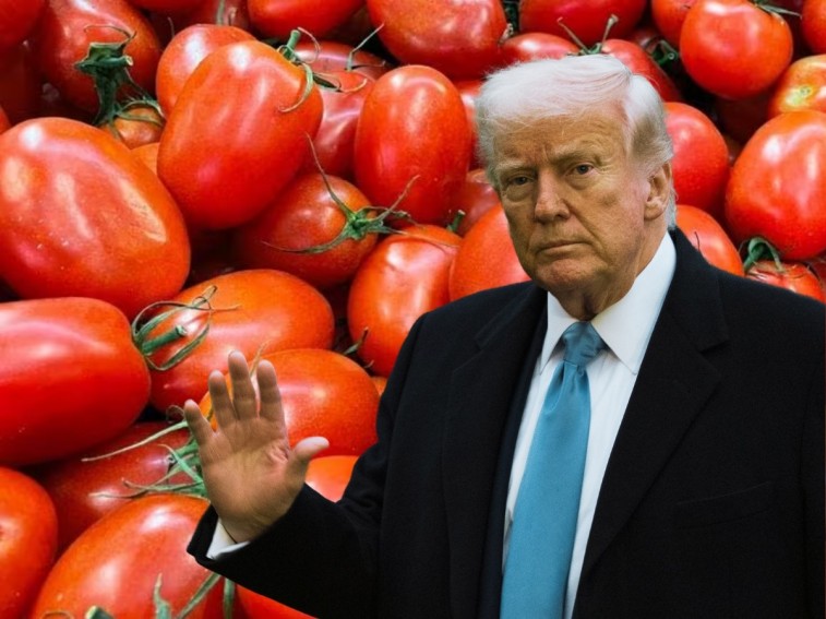 ESTADOS UNIDOS RETIRA ACUERDO Y APLICA ARANCEL AL TOMATE MEXICANO