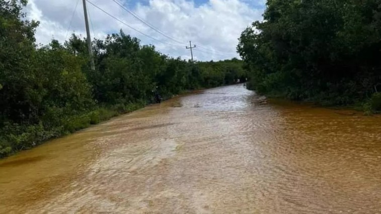 HABITANTES DE XCALAK EXIGEN INTERVENCIÓN URGENTE DE LAS AUTORIDADES TRAS LAS AFECTACIONES POR LA TORMENTA TROPICAL “SARA”