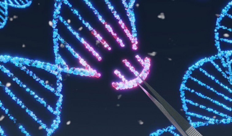  impulsa integración regional para avanzar en terapias avanzadas en América Latina y el Caribe