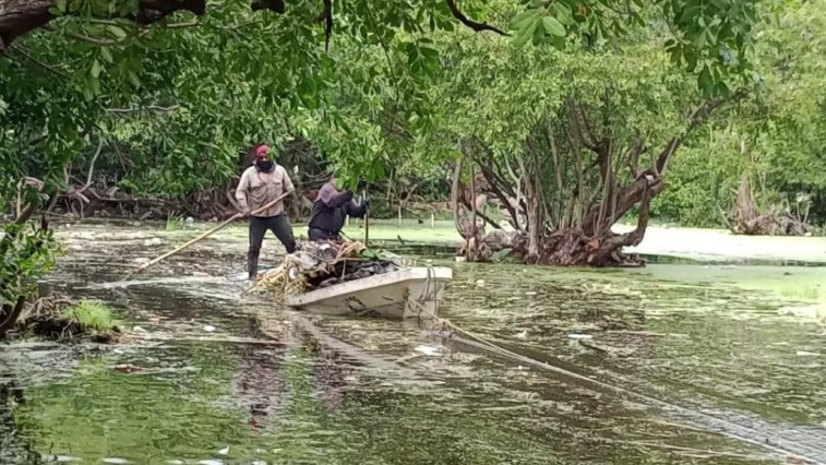 LAGUNA DE GUADALUPE EN CIUDAD DEL CARMEN SUFRE UNA ALTA CONTAMINACIÓN Y PÉRDIDA DE SU EXTENSIÓN