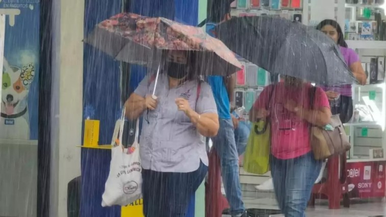 LLUVIAS PERSISTENTES AMENAZAN EL CAMPO YUCATECO MIENTRAS AVANZA NUEVA ONDA TROPICAL