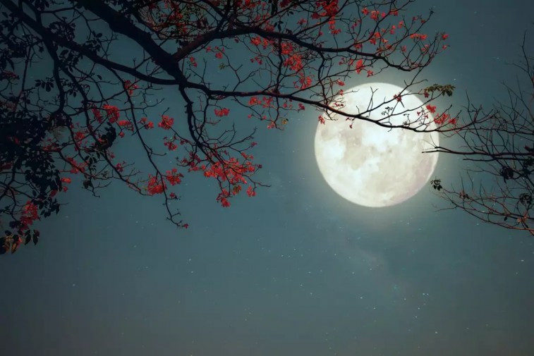 LUNA DE FRESA ILUMINARÁ EL CIELO DE YUCATÁN ESTE JUNIO: UN ESPECTÁCULO ASTRONÓMICO Y ESPIRITUAL