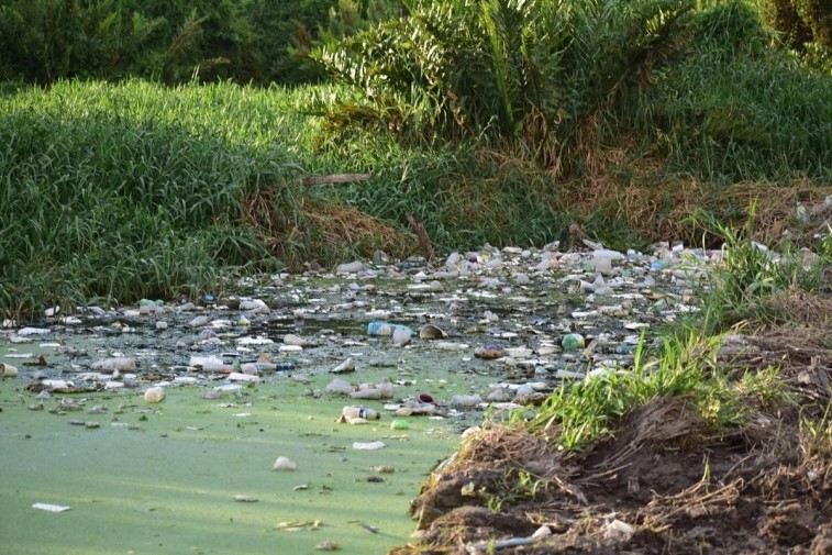 MANGLES AL LÍMITE: CASI DOS TONELADAS DE BASURA RETIRADAS EN CHUBURNÁ, YUCATÁN, EN JORNADA DE LIMPIEZA HISTÓRICA