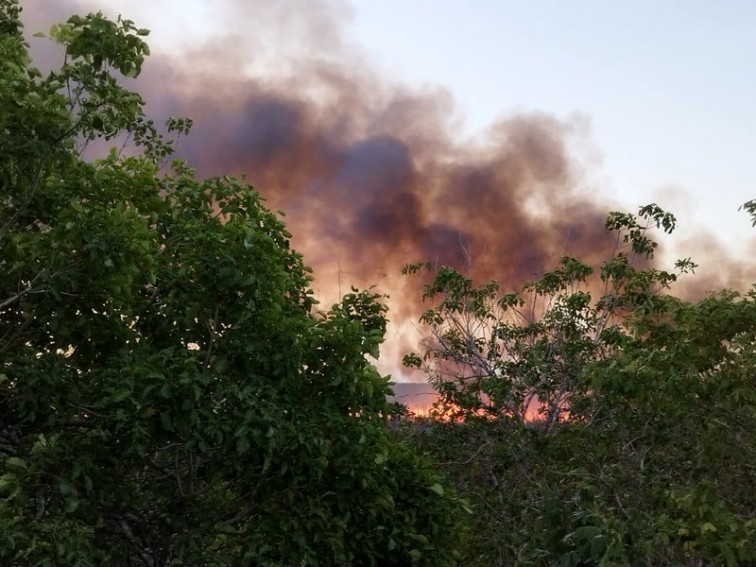 Más de 9 mil hectáreas forestales afectadas por 25 incendios en Campeche