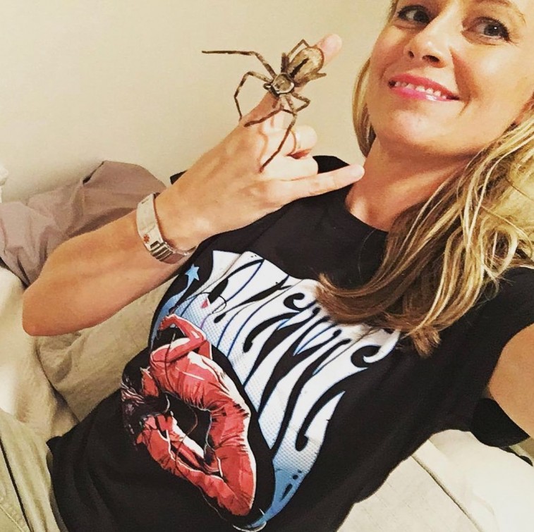 Mujer adopta a una araña y la ayuda a parir a sus 200 crías