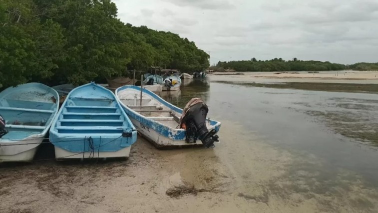 PELIGRO EN LA CIÉNAGA DE CHABIHUA: PESCADORES CONTAMINAN CON QUÍMICOS