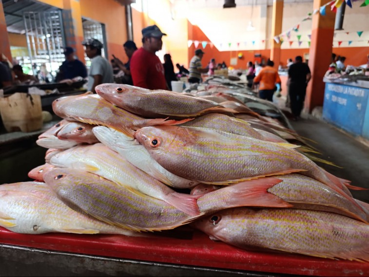 Preparan mercado principal de Campeche para alta afluencia en Semana Santa