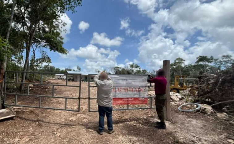 PROFEPA CLAUSURA DESMONTE ILEGAL EN SELVAS DE LA PENÍNSULA DE YUCATÁN