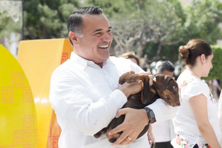 Renán Barrera procura el bienestar de la fauna del Municipio